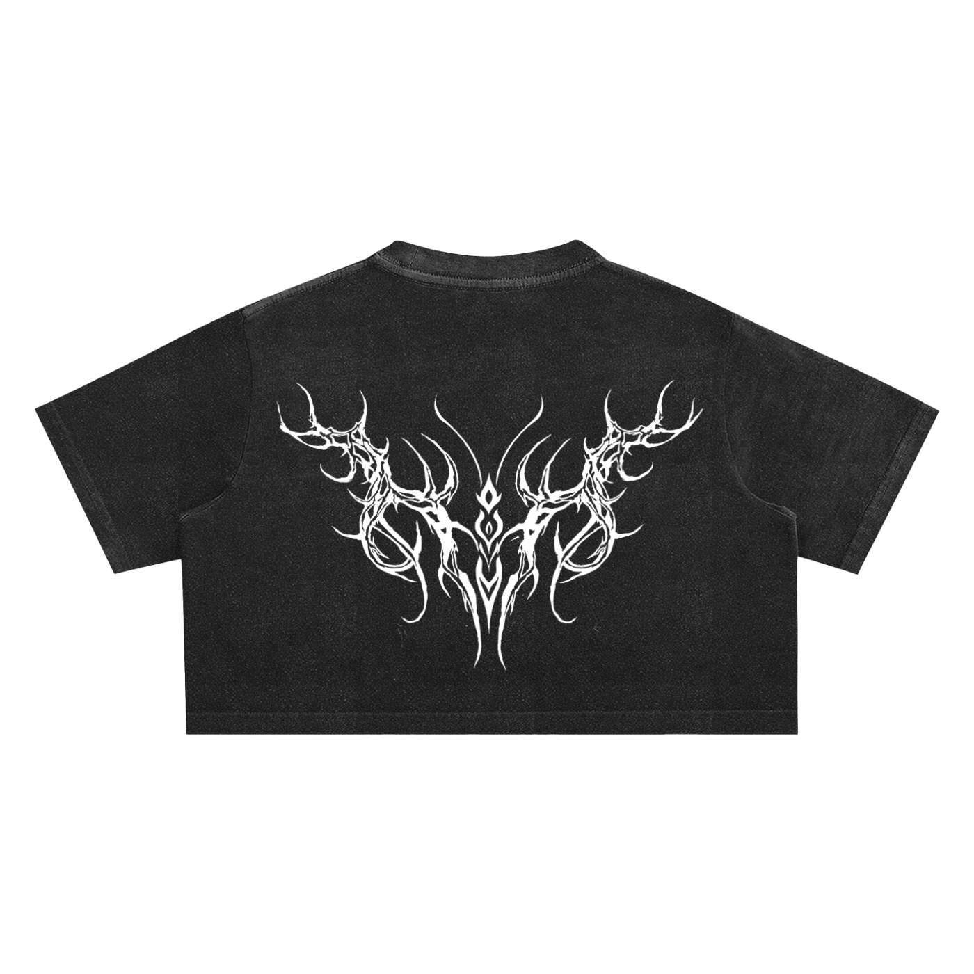 Fidno